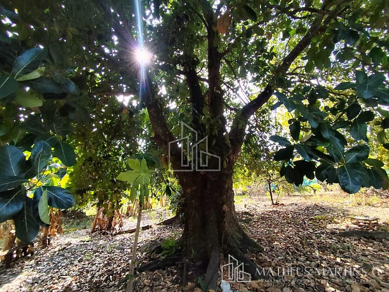 EXCELENTE Chácara com 5.941M2° de aréa total a venda!! — foto 21