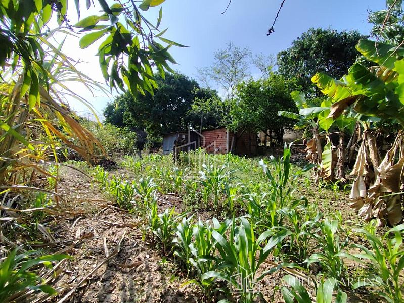 EXCELENTE Chácara com 5.941M2° de aréa total a venda!! — foto 20