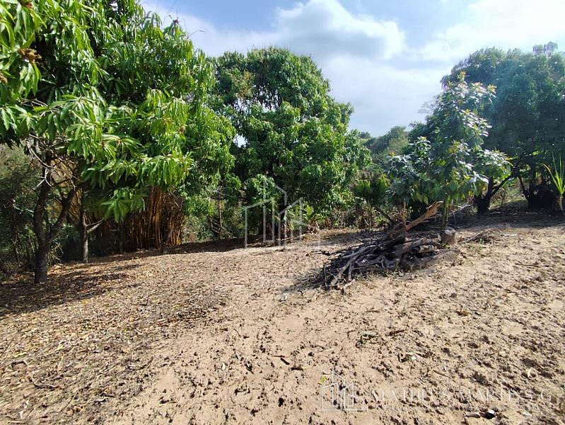 EXCELENTE Chácara com 5.941M2° de aréa total a venda!! — foto 19