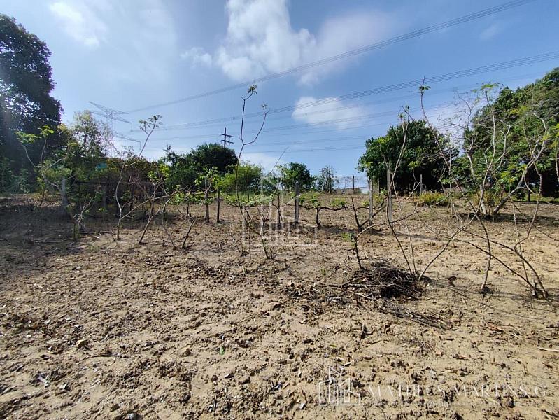 EXCELENTE Chácara com 5.941M2° de aréa total a venda!! — foto 22