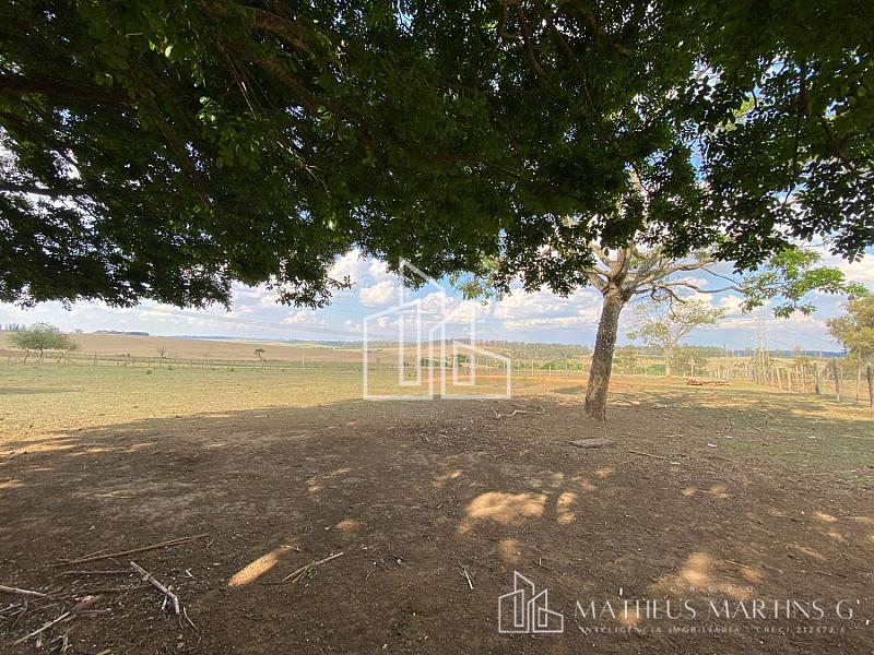 Sítio a venda !!! — foto 30