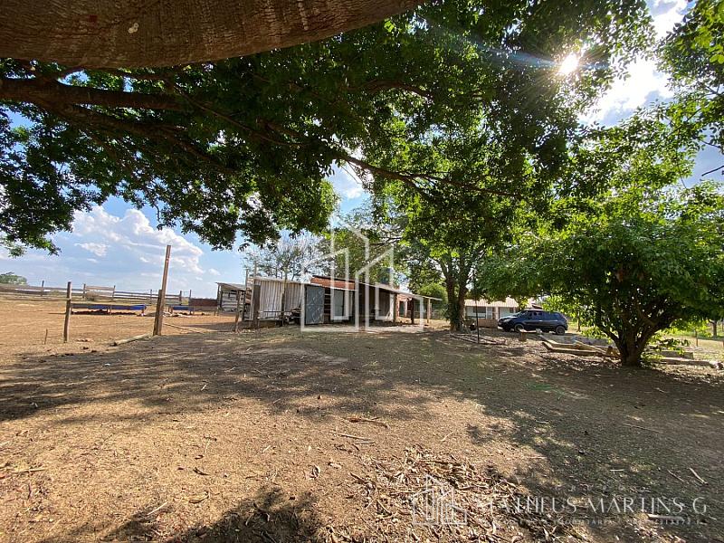 Sítio a venda !!! — foto 15