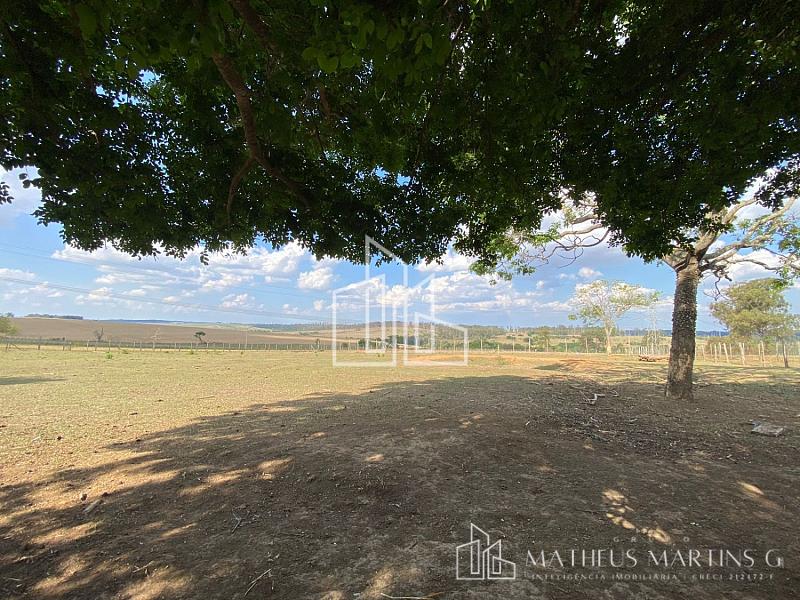 Sítio a venda !!! — foto 29