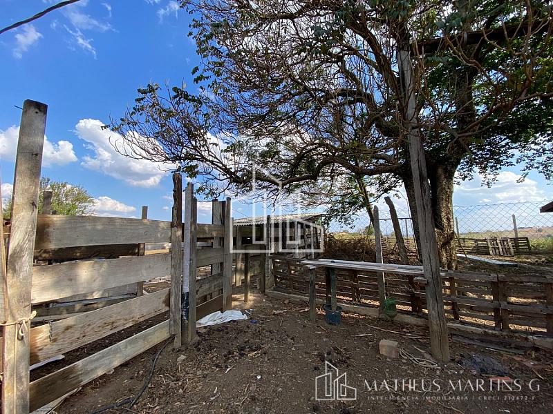 Sítio a venda !!! — foto 22