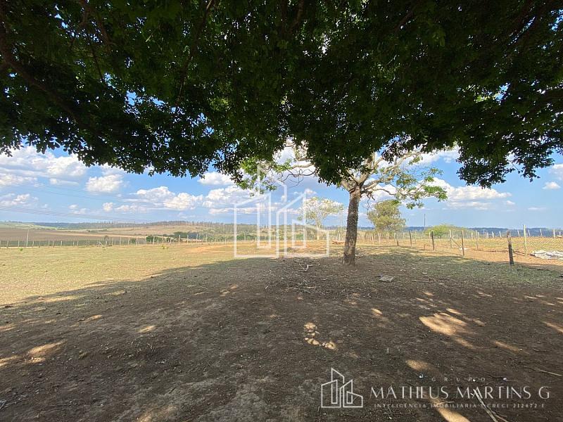 Sítio a venda !!! — foto 31