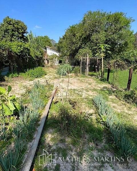 Excelente Chácara Pronta e Formada no Bairro Buru — foto 28