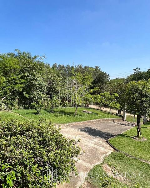 Excelente Chácara Pronta e Formada no Bairro Buru — foto 4