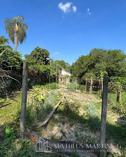 Excelente Chácara Pronta e Formada no Bairro Buru — foto 27