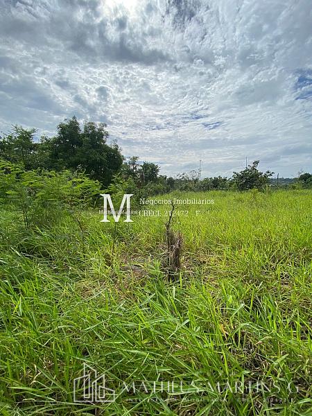 Chácara com excelente terreno, preço abaixo do mercado para reformar do seu jeito — foto 3