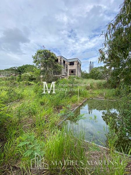 Chácara com excelente terreno, preço abaixo do mercado para reformar do seu jeito — foto 4
