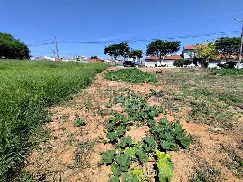 Terreno a venda no bairro Santa Marta III — foto 4