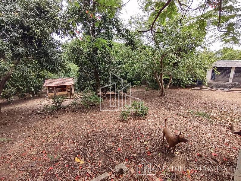 Linda chácara a venda! — foto 43