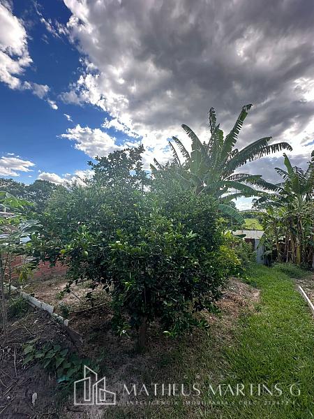 Excelente chácara a venda, amplo espaço — foto 25