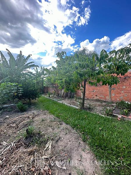 Excelente chácara a venda, amplo espaço — foto 29