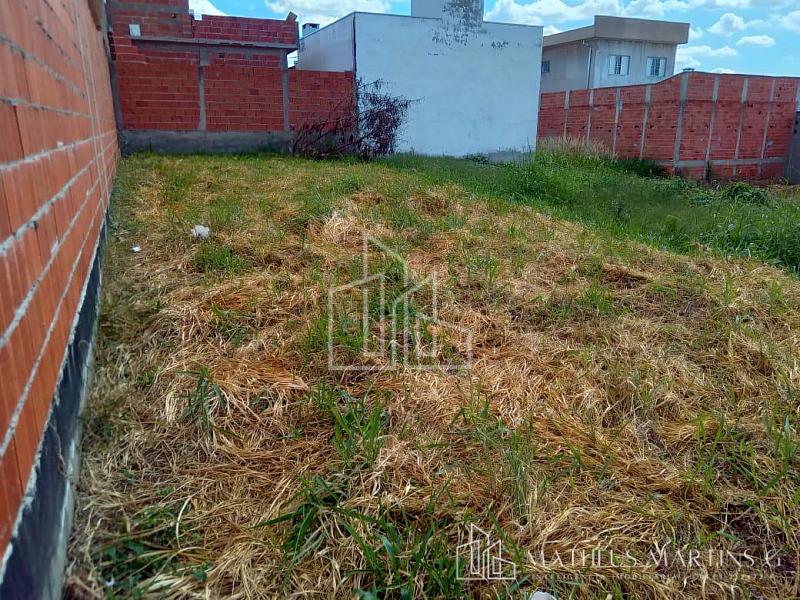 Excelente terreno a venda no bairro Morro da Mata — foto 2