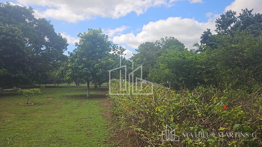 Oportunidade! Linda chácara a venda — foto 22