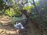 🌿 S�TIO � VENDA EM ITU/SP � 22.000 m� 44