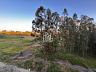 APARTAMENTO � VENDA | VILA HELV�TIA � INDAIATUBA/SP 6