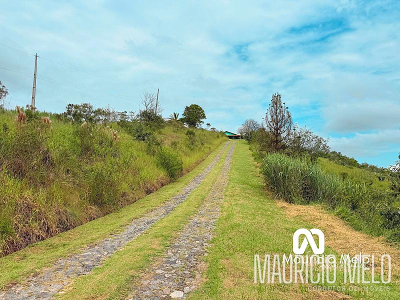 Chácara em Santa Branca — foto 4