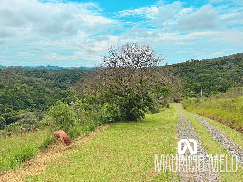 Chácara em Santa Branca — foto 5