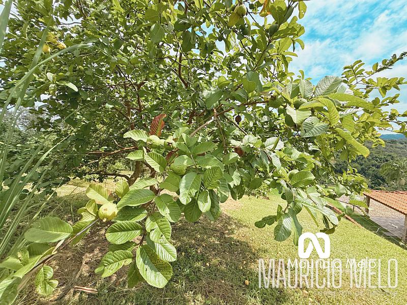 Chácara em Santa Branca — foto 8