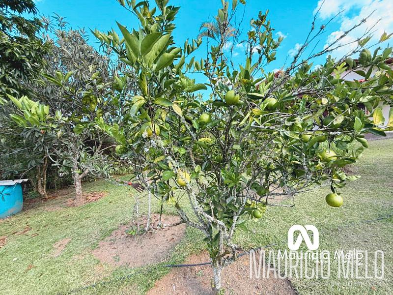 Chácara à venda em Biritiba Mirim — foto 50