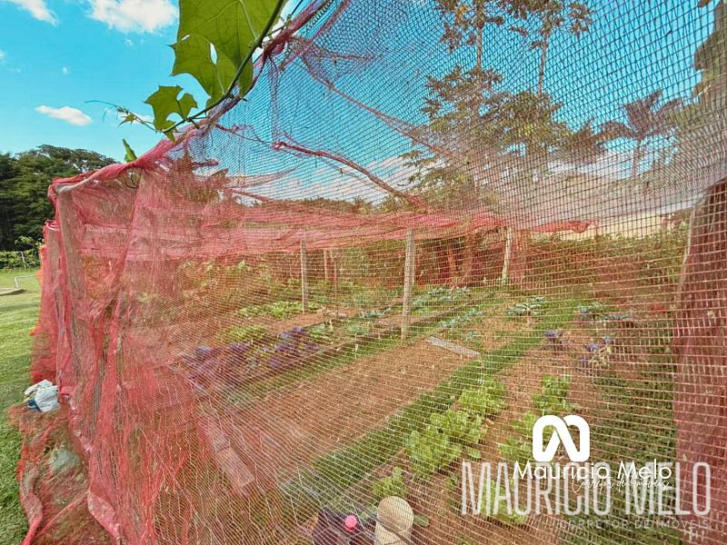 Chácara à venda em Biritiba Mirim — foto 51