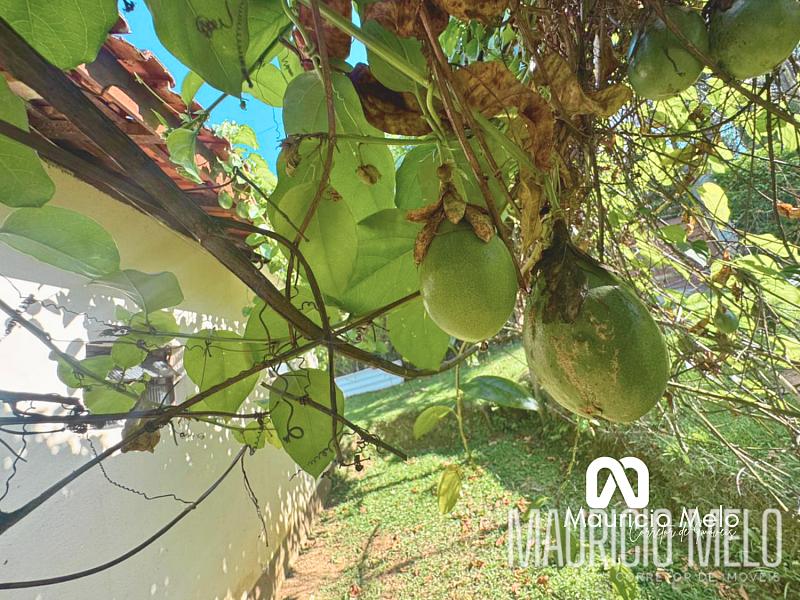 Chácara à venda em Biritiba Mirim — foto 68