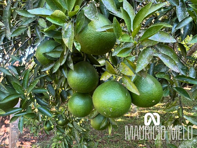 Chácara à venda em Biritiba Mirim — foto 70