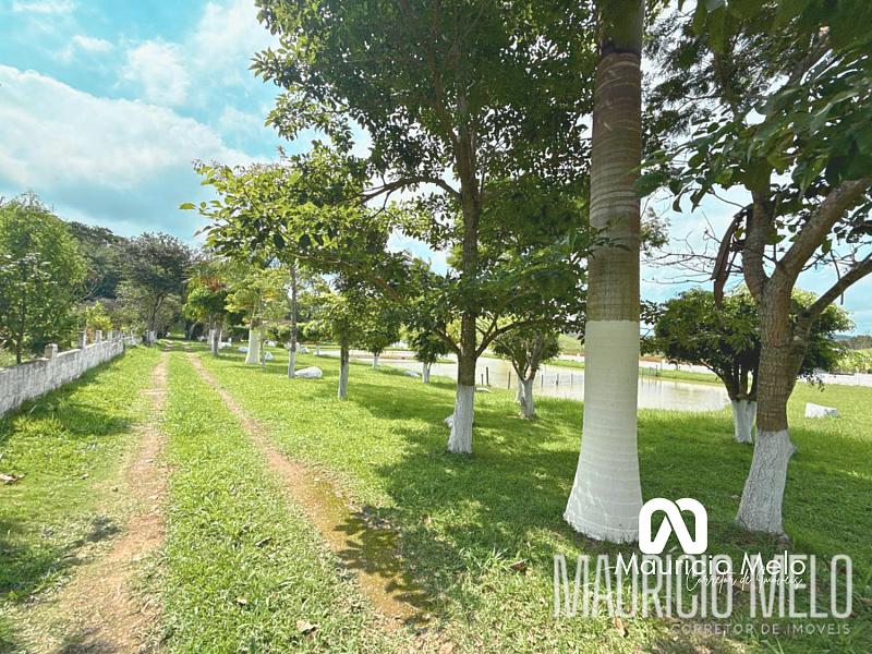 Chácara à venda em Salesópolis com 10.000 m², lago, casa 4 dormitórios e escritura — foto 29