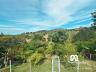 Ch�cara � Venda em Santa Branca 2