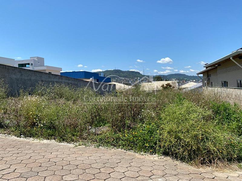 TERRENO URBANO — foto 3