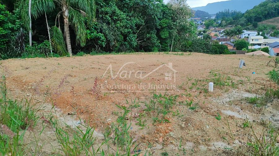 TERRENO URBANO — foto 10