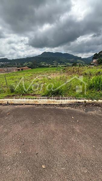 TERRENO URBANO — foto 15