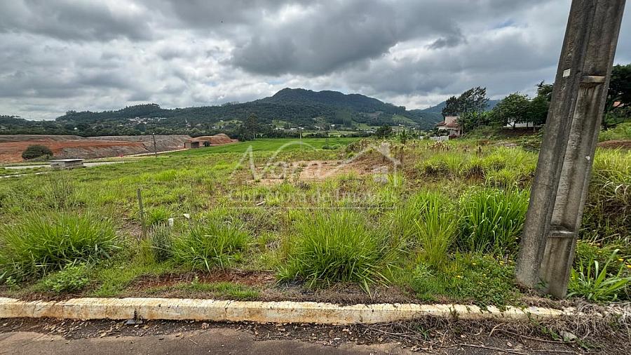 TERRENO URBANO — foto 9