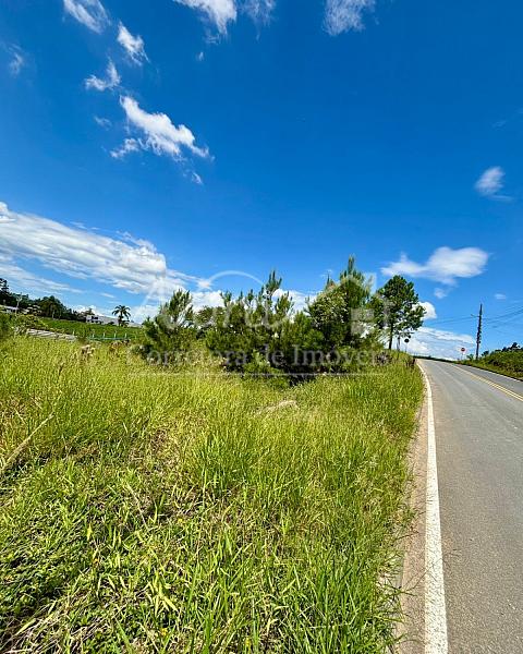 TERRENO URBANO — foto 18