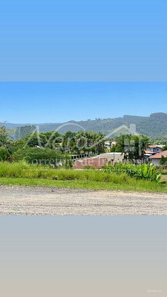 TERRENO URBANO — foto 6