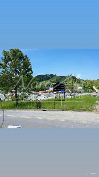 TERRENO URBANO — foto 19