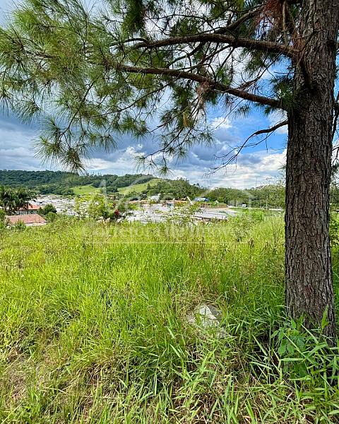 TERRENO URBANO — foto 31