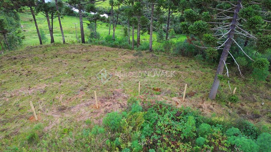 Terreno na Serra em Bom Jardim da Serra no Centro da Cidade — foto 8