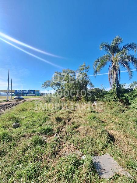 Terreno à venda, 12380m² - Nova Palhoça - Palhoça — foto 2