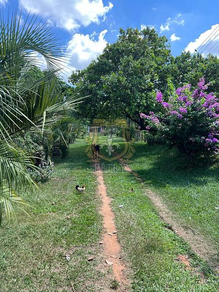 CHACÁRA NO SANTA PAULA - LIIMEIRA — foto 8
