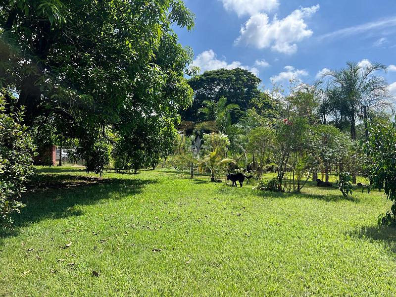 CHACÁRA NO SANTA PAULA - LIIMEIRA — foto 12