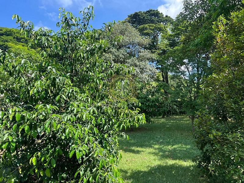 CHACÁRA NO SANTA PAULA - LIIMEIRA — foto 15