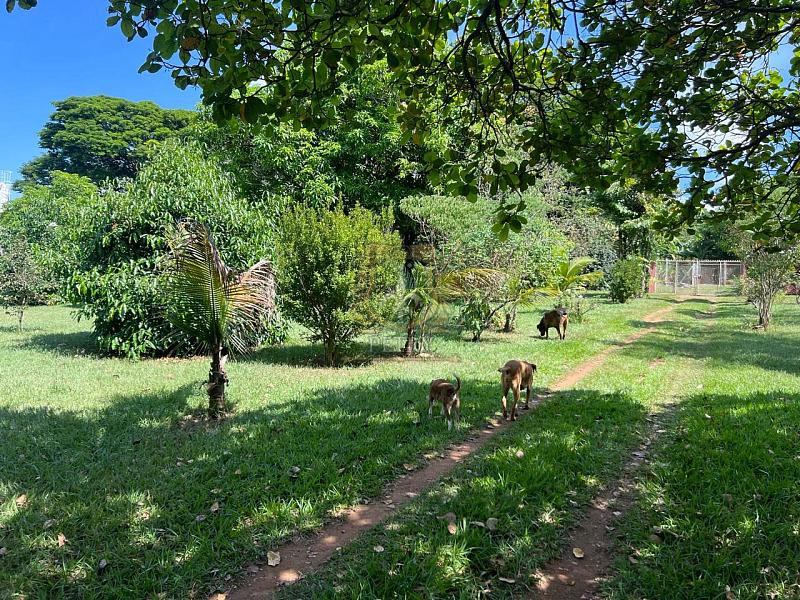 CHACÁRA NO SANTA PAULA - LIIMEIRA — foto 16