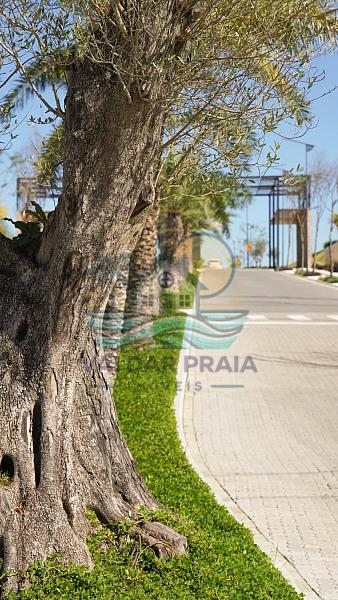 TERRENO À VENDA EM CAMBORIÚ – COLINAS DE CAMBORIÚ VILLAGE | ALTO PADRÃO, NATUREZA E VALORIZAÇÃO — foto 33