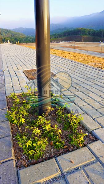 TERRENO À VENDA EM CAMBORIÚ – COLINAS DE CAMBORIÚ VILLAGE | ALTO PADRÃO, NATUREZA E VALORIZAÇÃO — foto 34