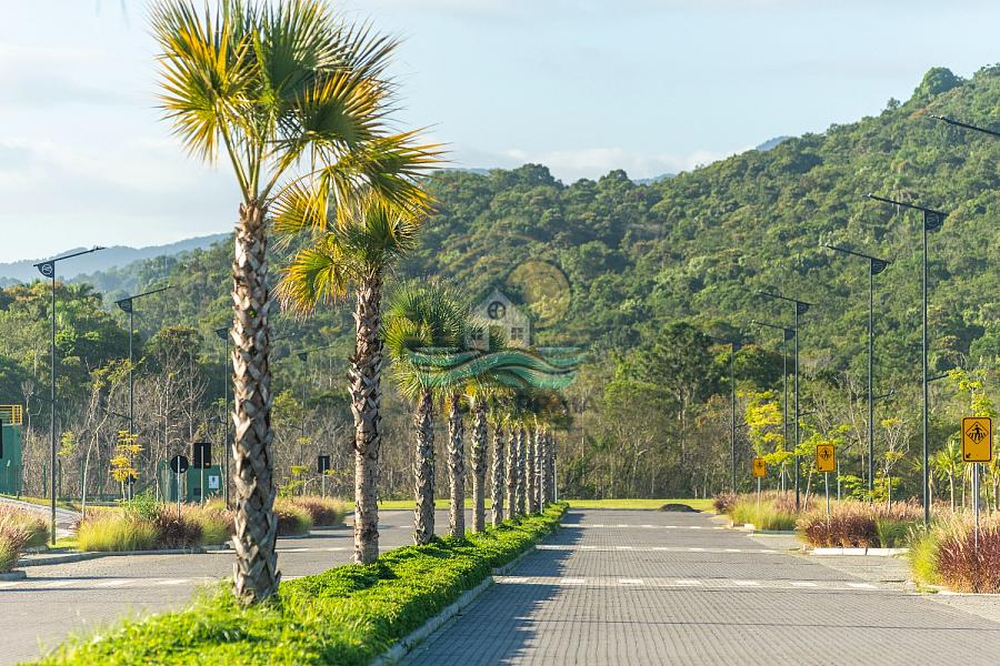 TERRENO À VENDA EM CAMBORIÚ – COLINAS DE CAMBORIÚ VILLAGE | ALTO PADRÃO, NATUREZA E VALORIZAÇÃO — foto 39