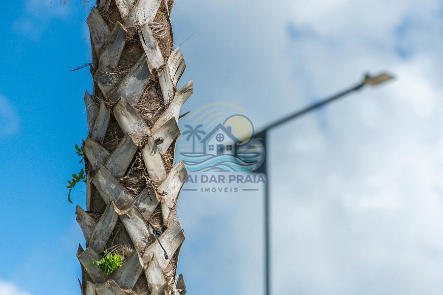 TERRENO À VENDA EM CAMBORIÚ – COLINAS DE CAMBORIÚ VILLAGE | ALTO PADRÃO, NATUREZA E VALORIZAÇÃO — foto 47