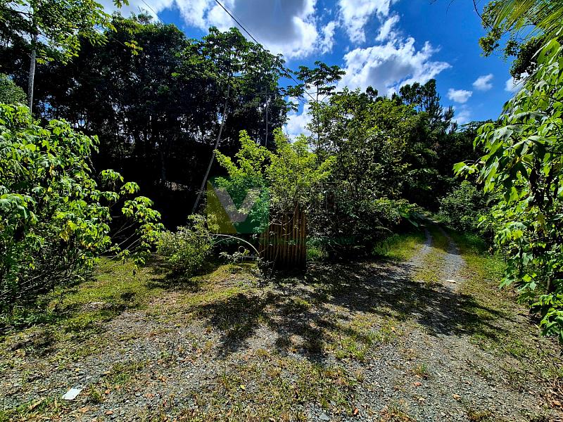 Bairro Brilhante II - 5.000 m² com casa - Itajaí/SC — foto 22